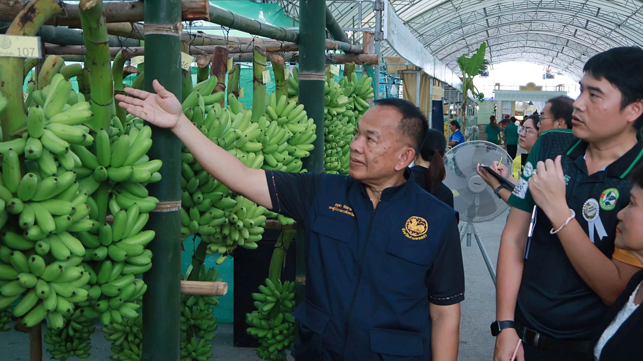 จังหวัดกำแพงเพชร คึกคักสุดๆ! ส่องผลประกวดกล้วยไข่เมืองกำแพงปี 69 สวนไหนคว้าแชมป์กล้วยไข่ GI สุก-ดิบ